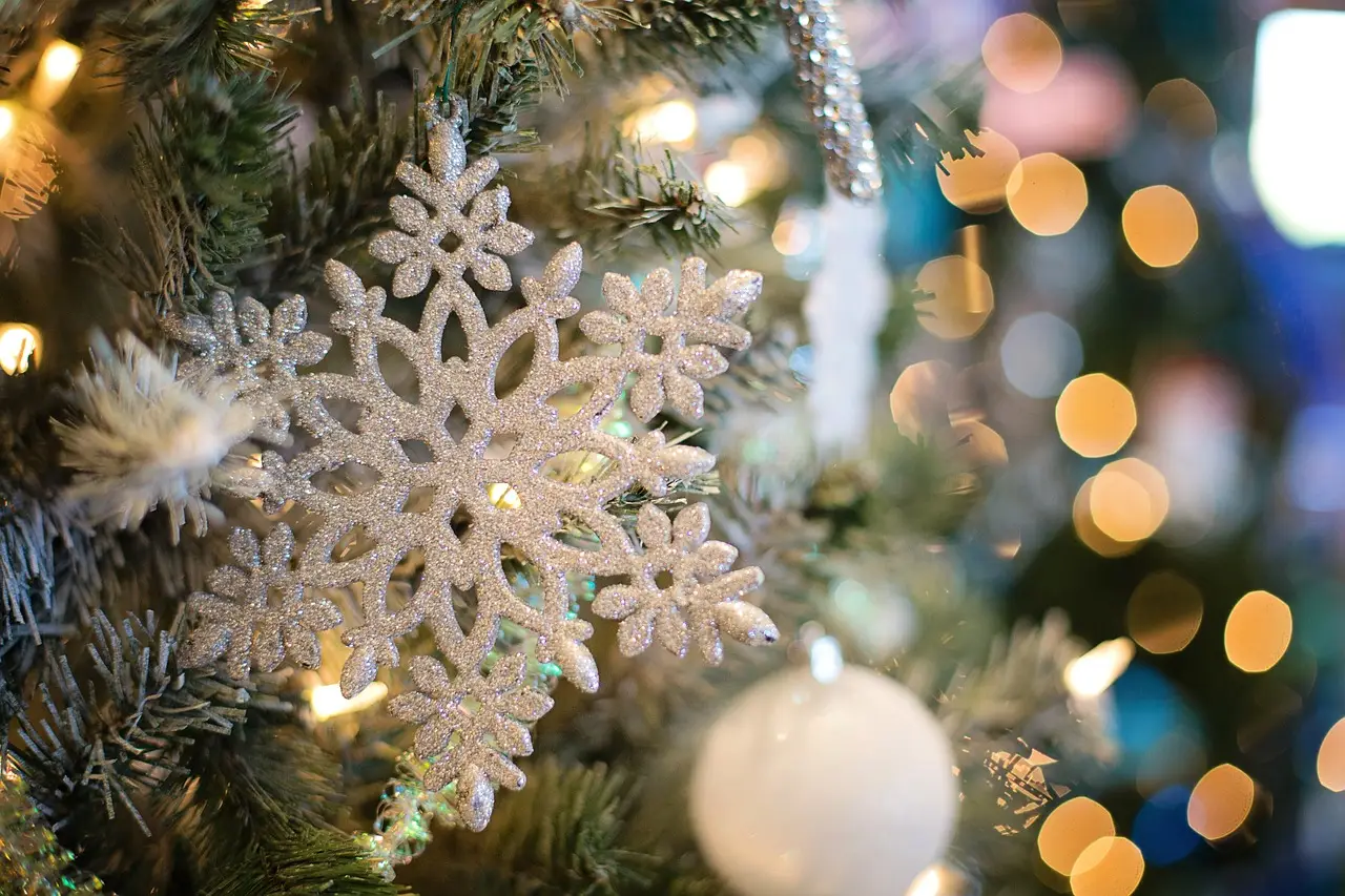Read more about the article Chic Christmas Decor for a Cozy Home
